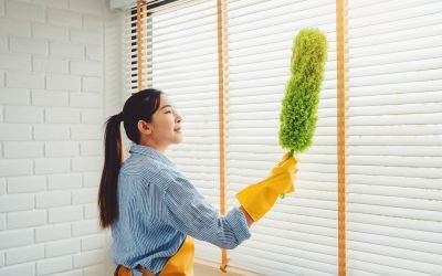 The Art of Dusting: A Comprehensive Guide to Allergy-Free Living